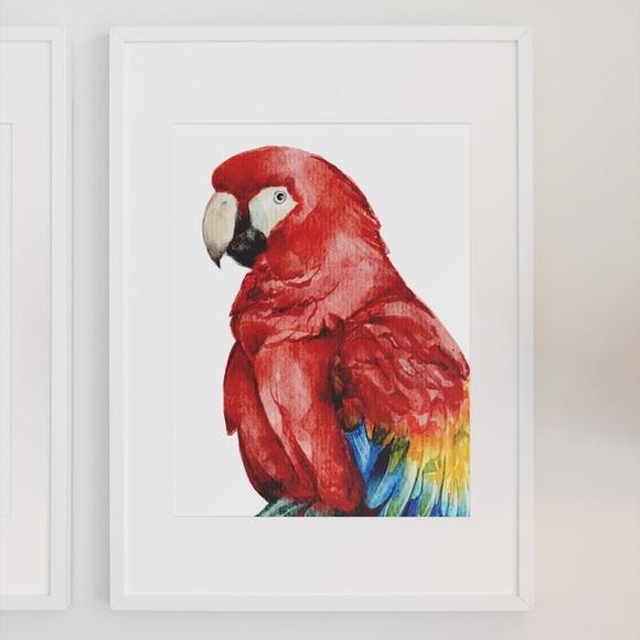 Red Macaw Parrot Bird Watercolor Wall Art Print Poster Unframed - Picture 3 of 8